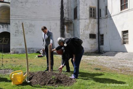 Jabolko Kanadka v spomin na sadjarja in pospeševalca Franca Pirca (6)